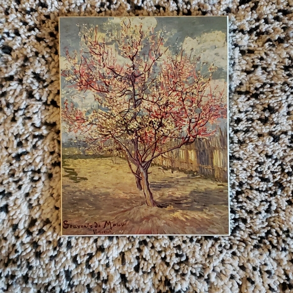 🥕Van Gogh Pink Peach Tree - Picture 2 of 6